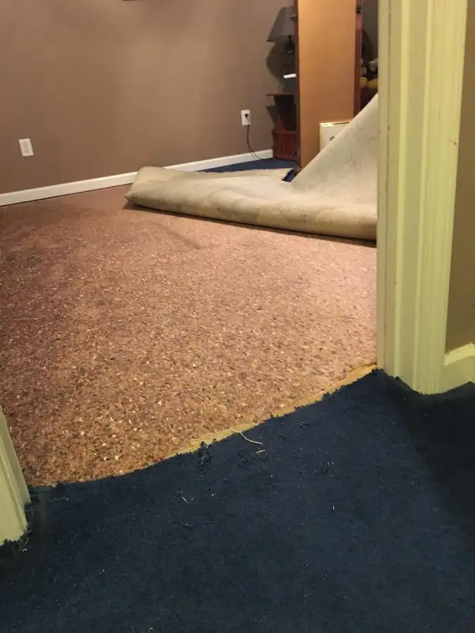 Carpet pad removal revealing water damage during Drying & Dehumidification in Ludington